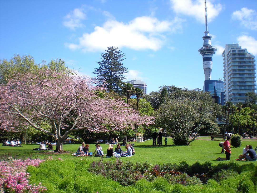 Albert Park