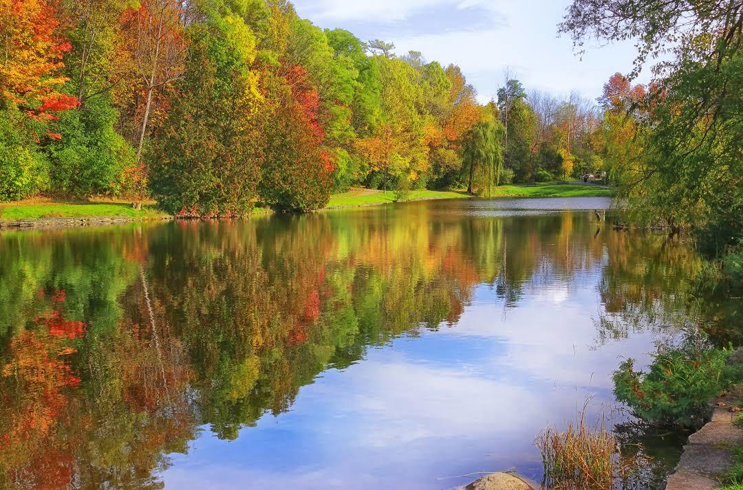 Jackson Park