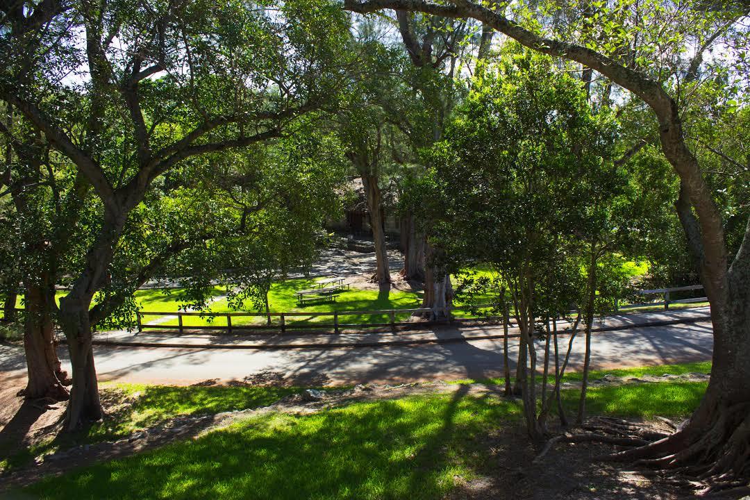 Greynolds Park