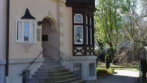Richard Strauss Institute