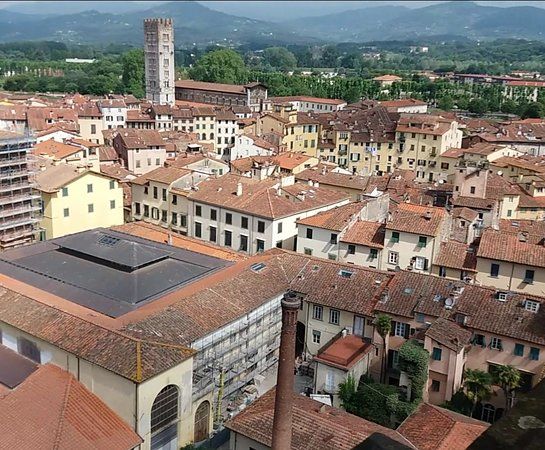 Guinigi Tower