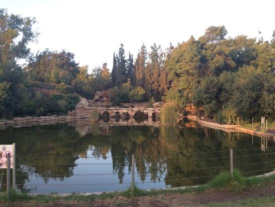 Sacher Park