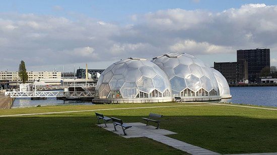 Floating Pavilion