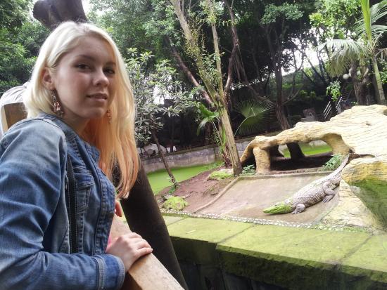 Crocodile Center