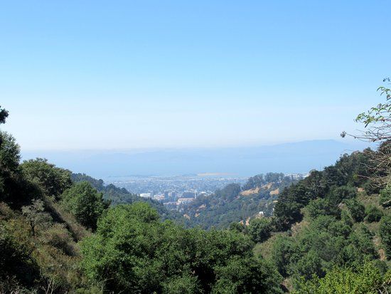Berkeley Fire Trails