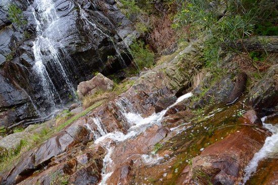 Clematis Falls
