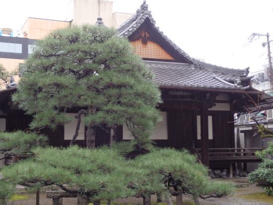Myoshinji Tempel