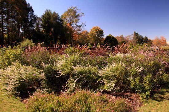 Reynolda Gardens-Wake Forest