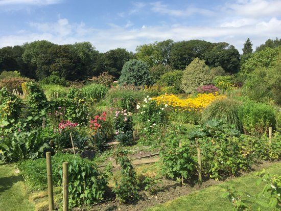 West Acre Garden