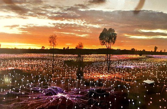 Field of Light