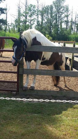 Beebe Ranch
