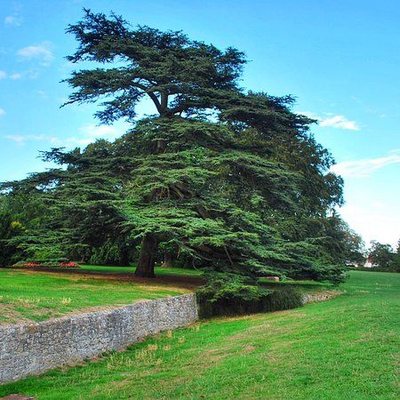 Bury Knowle Park
