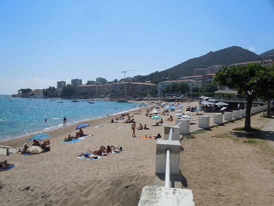 Plage trottel