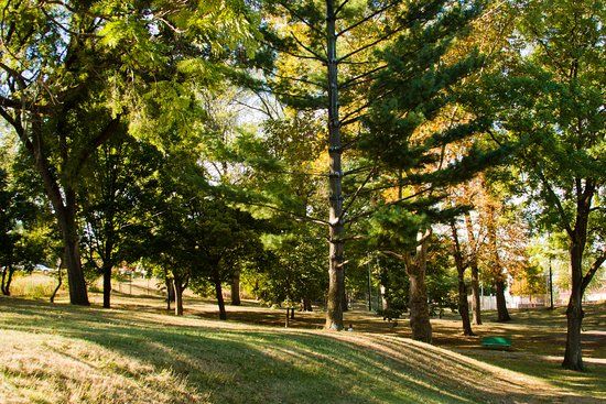 Arsenal Park