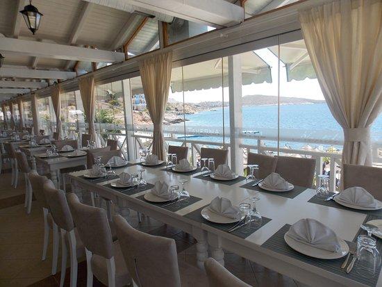 Restaurant Nertili