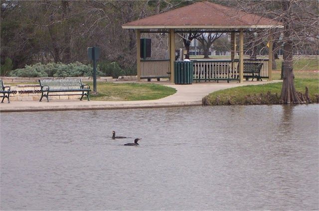 Central Park