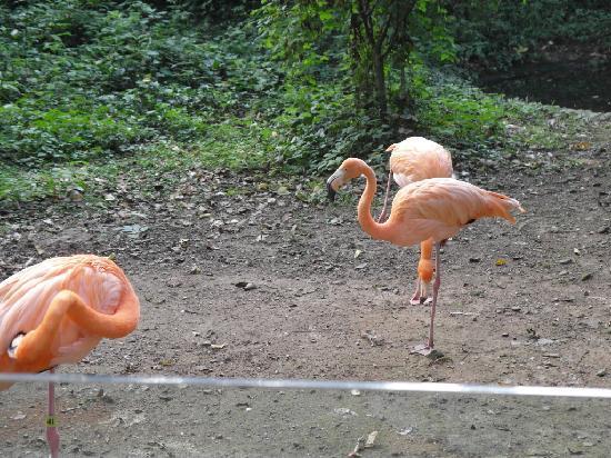 Hangzhou Zoo