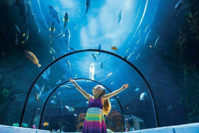 Park des Aquariums von Québec