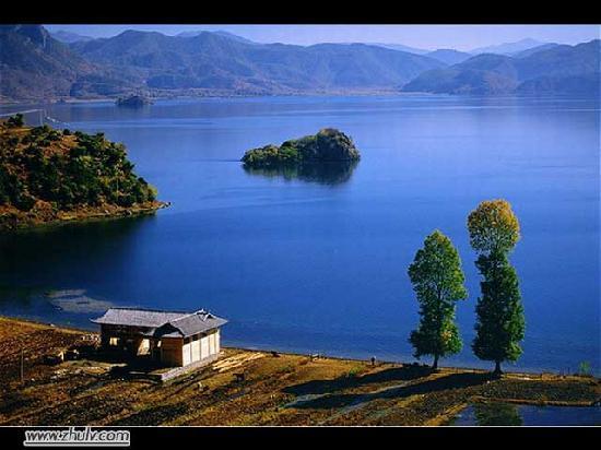 Bird Island