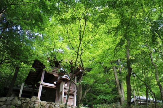 Zuihoji Park
