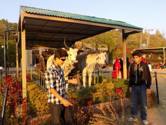 Lok Virsa Museum