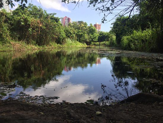 State's Coco Park