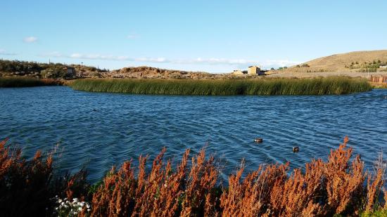 Laguna Nimez Reserva Natural Municipal