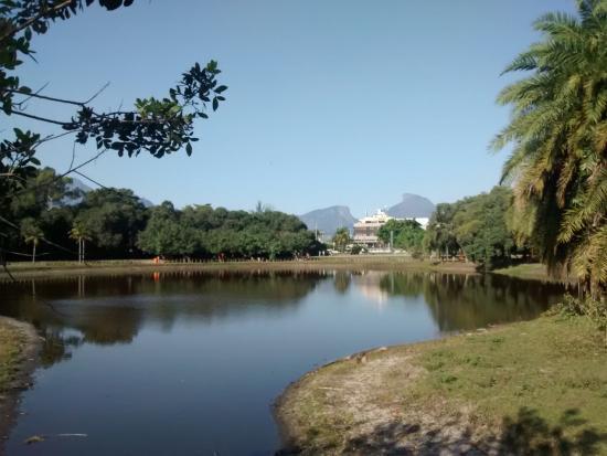 Bosque da Barra