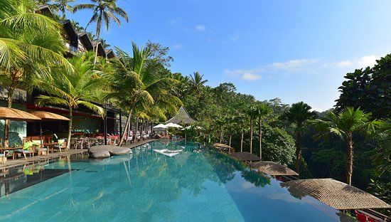 Jungle Fish Pool Bar