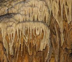 Riserva naturale integrale Grotta Palombara