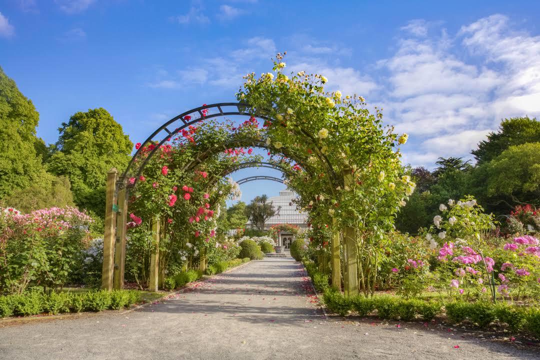 North Hagley Park