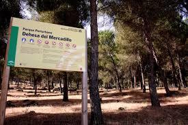 Dehesa del Mercadillo