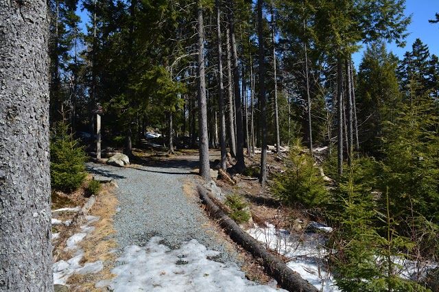 Hemlock Ravine Park