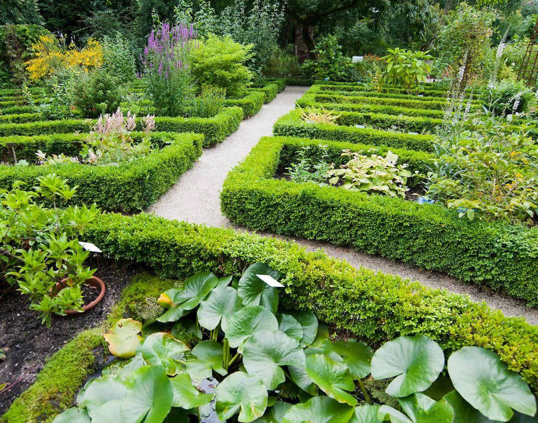 Jardin botanique d'Amsterdam