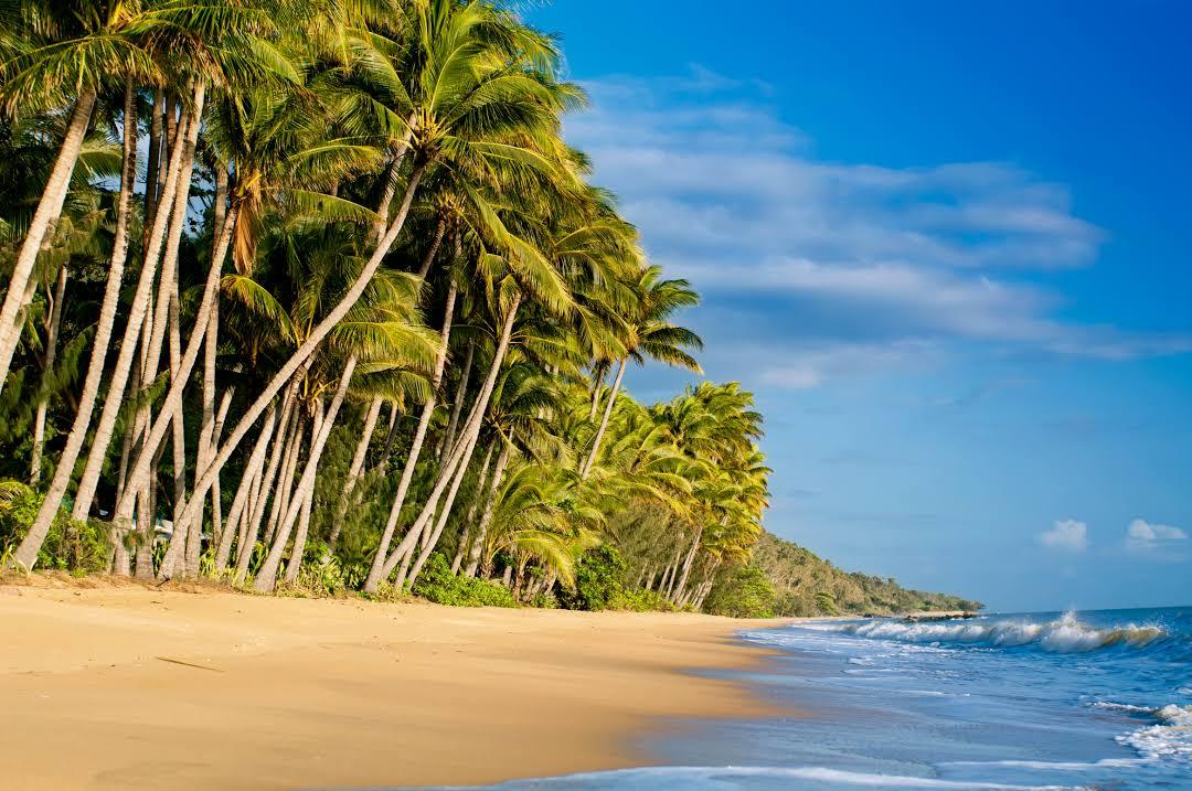 Palm Cove