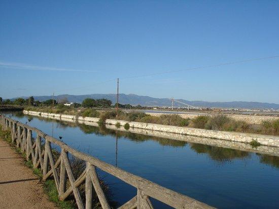 Nature Park of Molentargius-Saline
