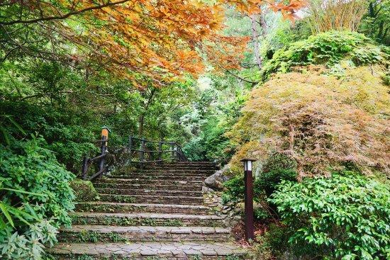 Manyo Park