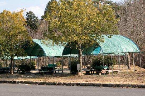 Chuo Shinrin Park