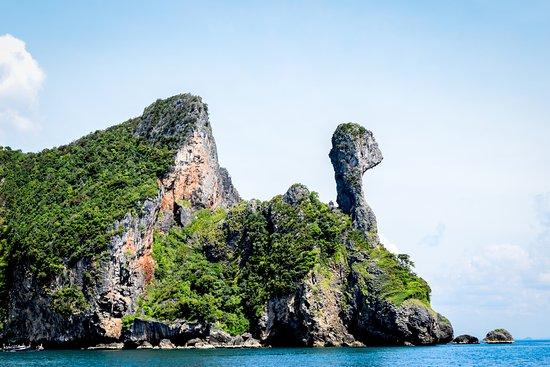 Chicken Island