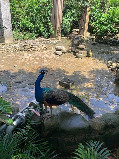 Kaohsiung City Shou Shan Zoo