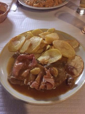 Salpicos Selvagens