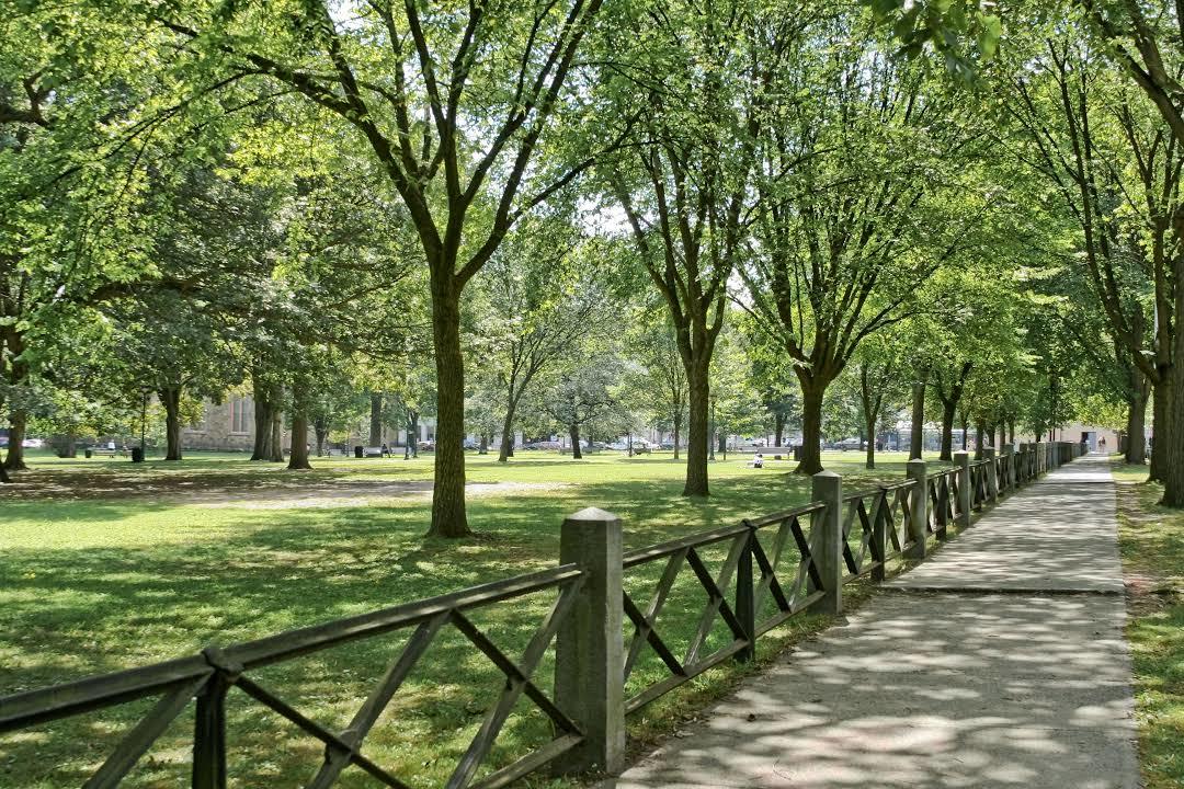New Haven Green