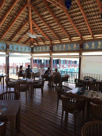 Blue Marlin
