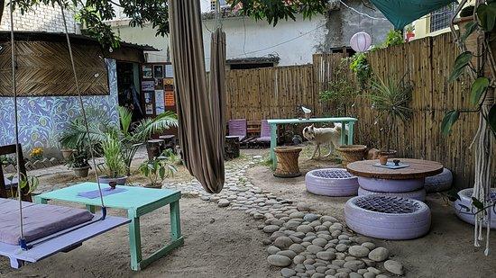 Mango Tree Garden
