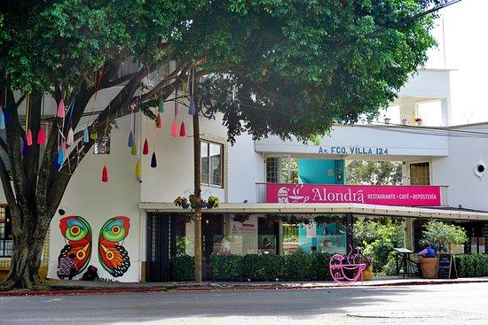 Cafe Alondra Sucursal Norte