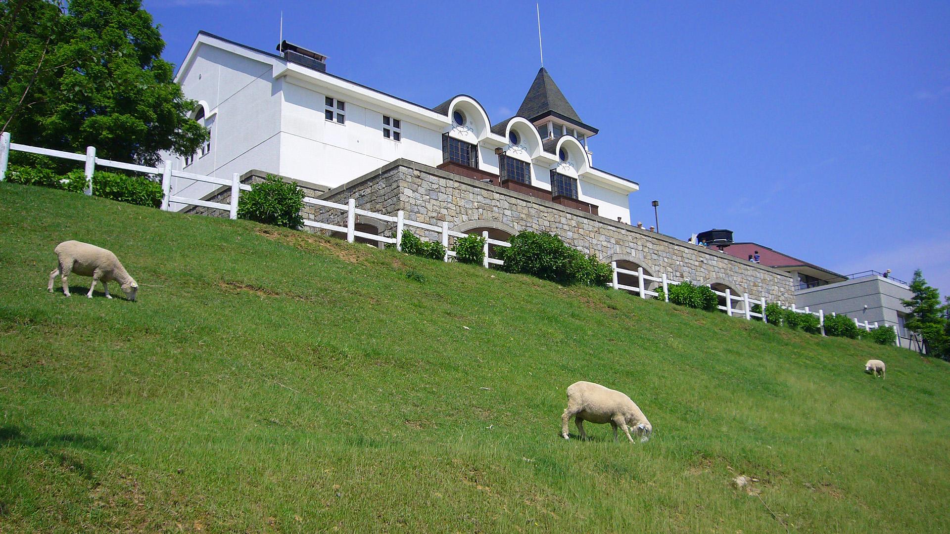 Rokkosan Pasture