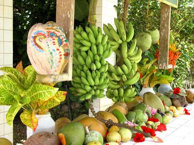 Saipan Botanical Garden