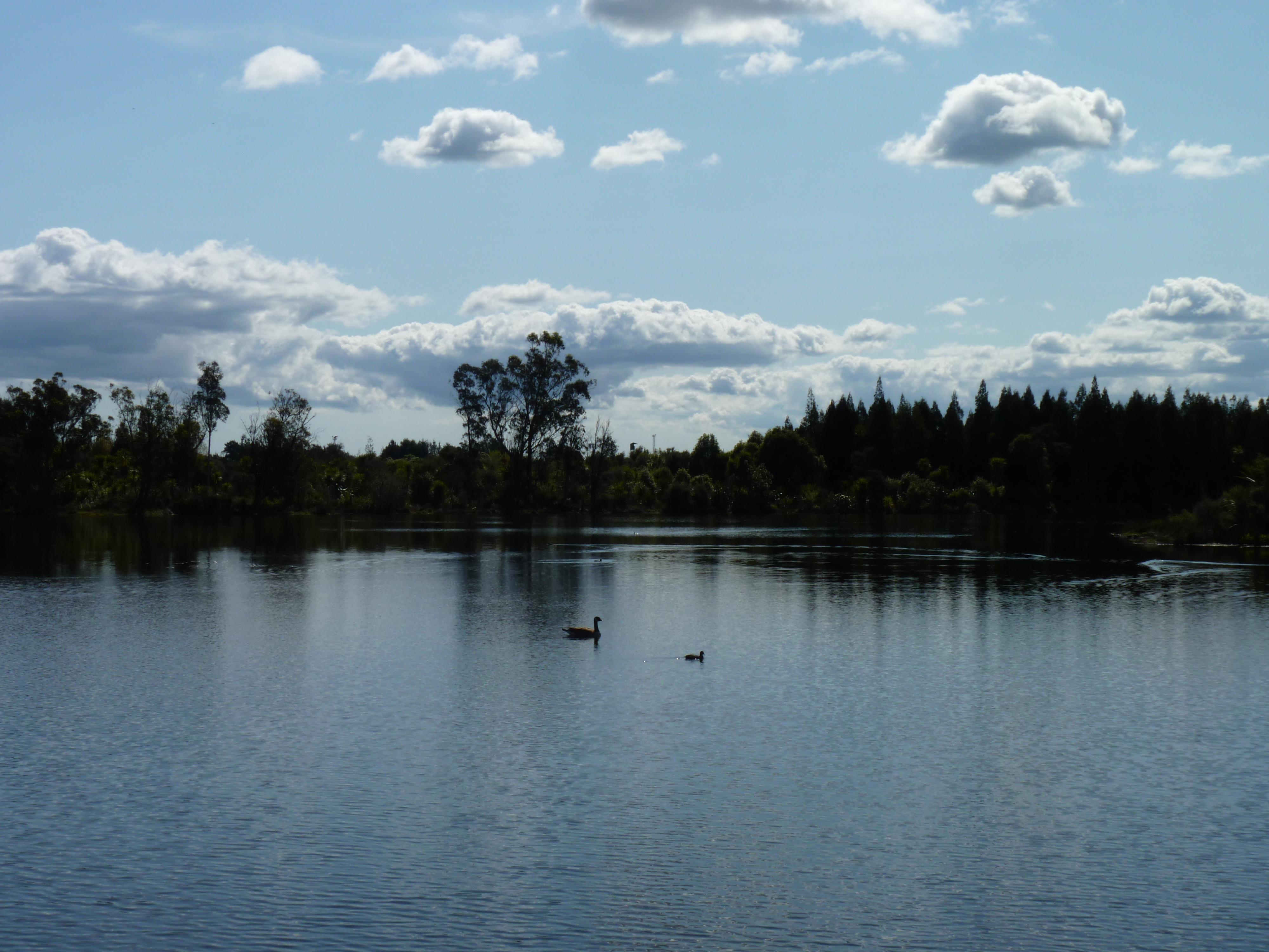 Lake Rotokaeo