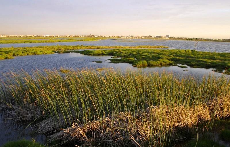 Rietvlei Wetland Reserve