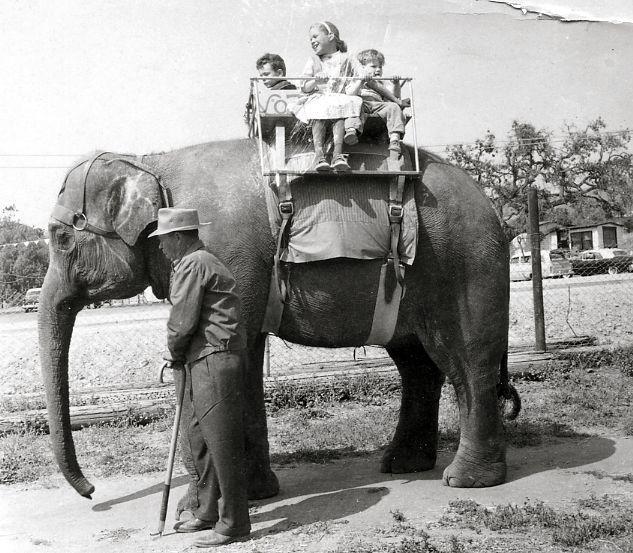 Jungleland USA